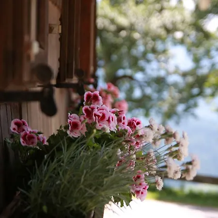 Gorjup Eco Farm * Srednja Vas v Bohinju