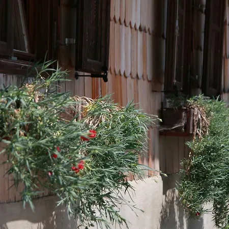 Gorjup Eco Farm Фермерский дом