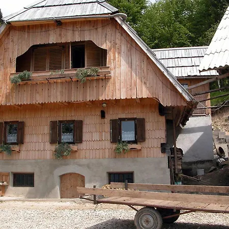 Gorjup Eco Farm