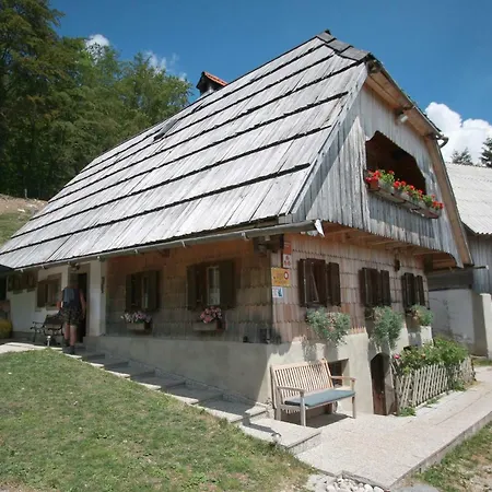 Vakantieboerderij Gorjup Eco Farm *