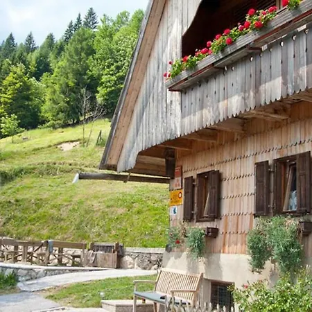 Vakantieboerderij Gorjup Eco Farm *