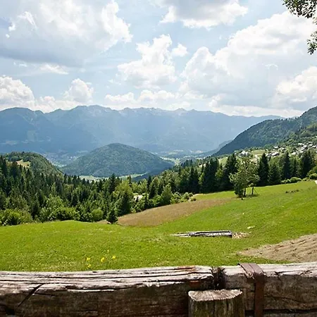 Фермерский дом Gorjup Eco Farm